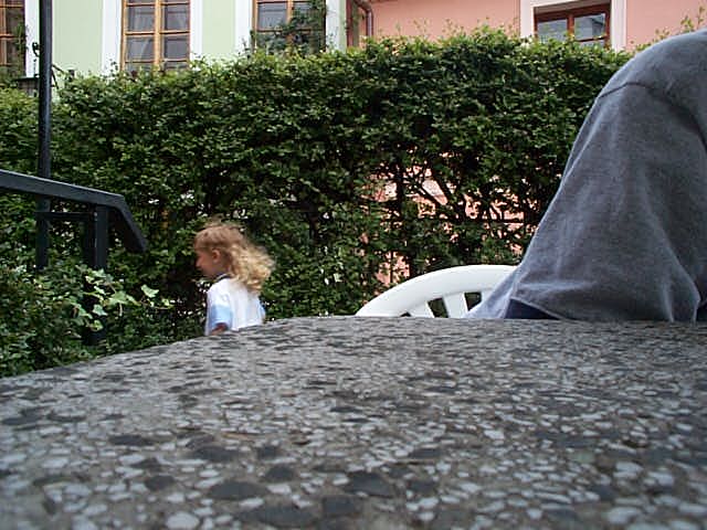 04_-_mullet_junior.jpg