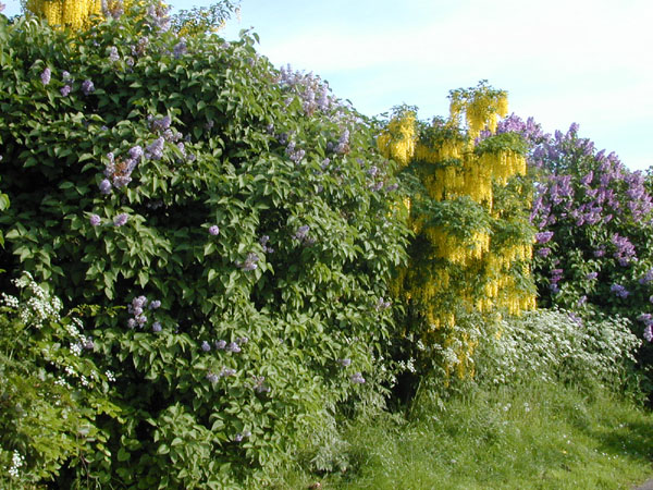DSCN9562